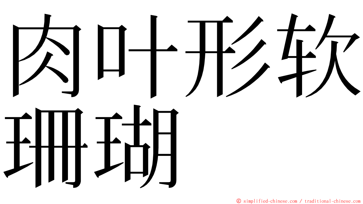 肉叶形软珊瑚 ming font