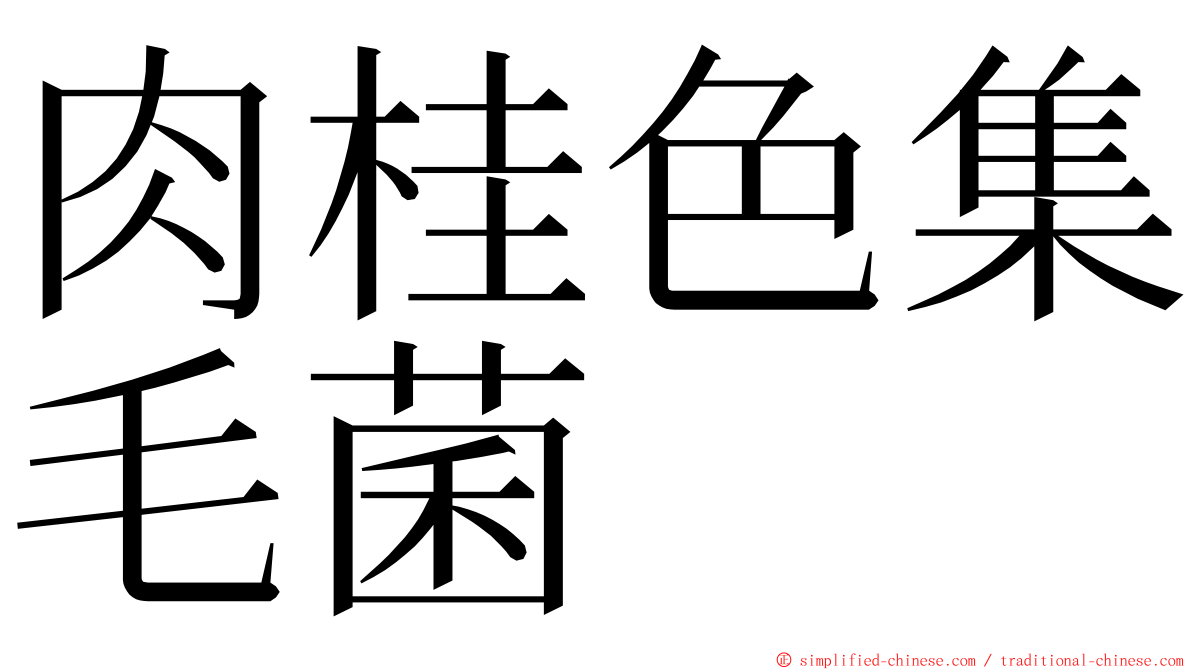 肉桂色集毛菌 ming font