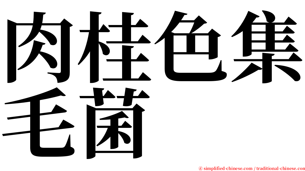 肉桂色集毛菌 serif font