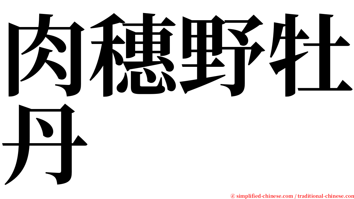 肉穗野牡丹 serif font