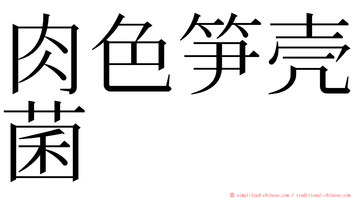 肉色笋壳菌 ming font