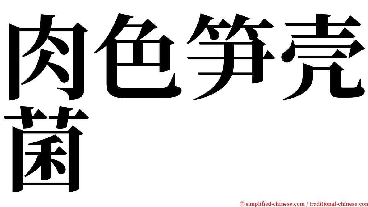 肉色笋壳菌 serif font