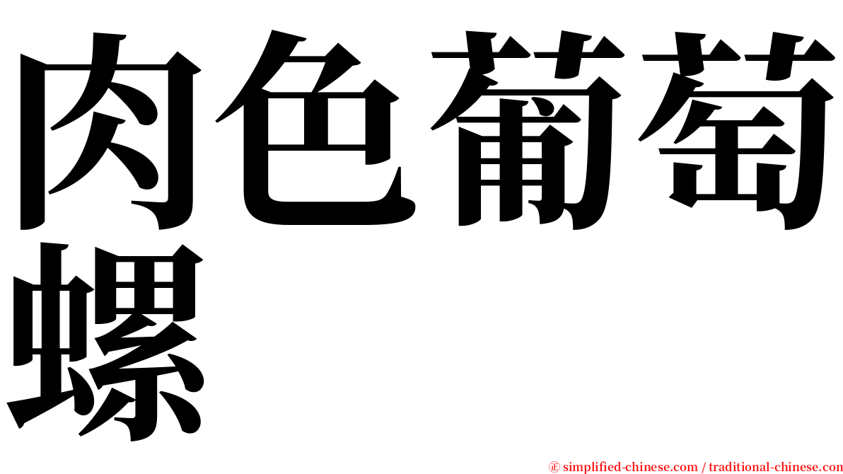 肉色葡萄螺 serif font