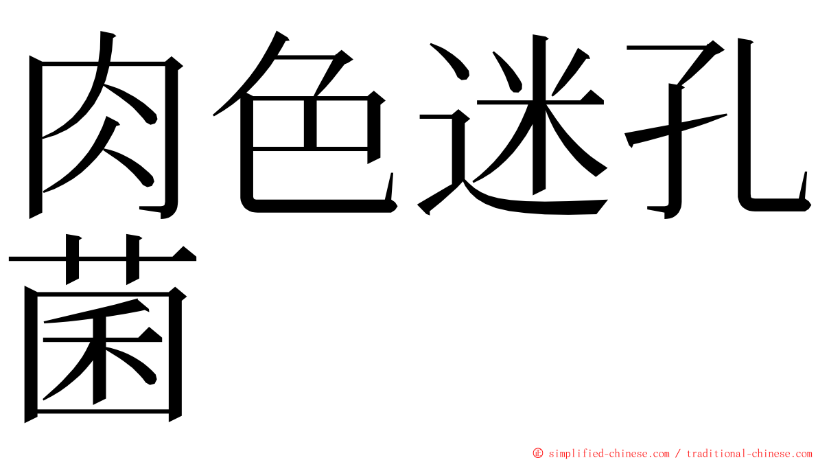 肉色迷孔菌 ming font