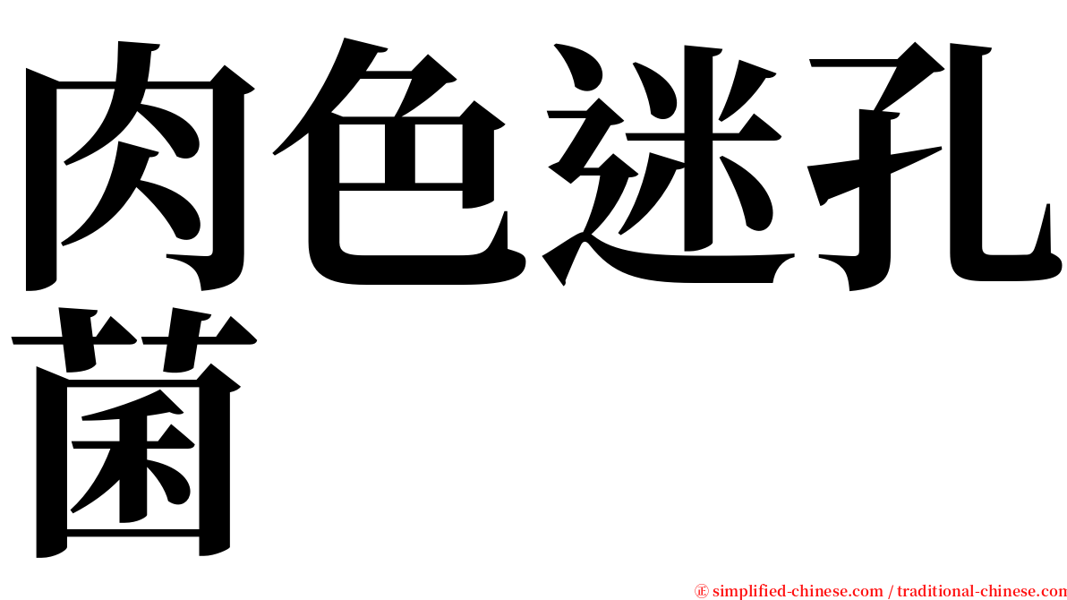 肉色迷孔菌 serif font