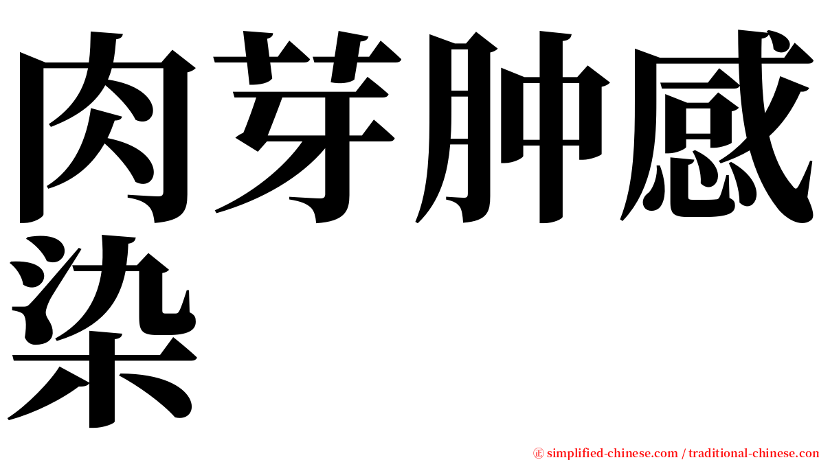 肉芽肿感染 serif font