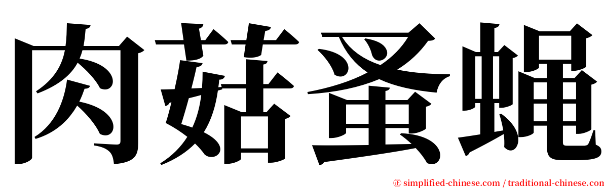 肉菇蚤蝇 serif font