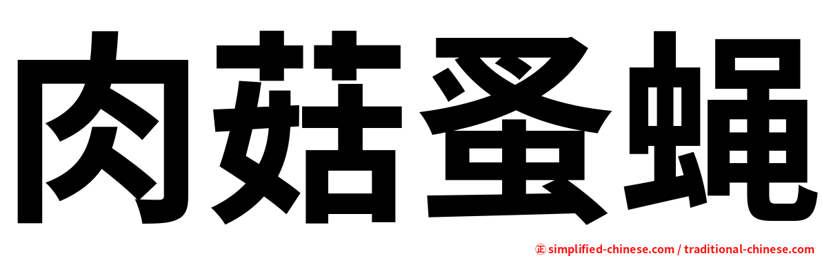 肉菇蚤蝇