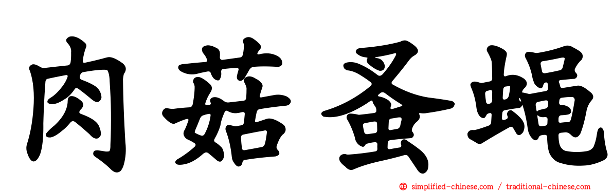 肉菇蚤蝇