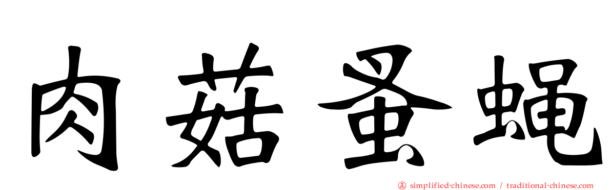 肉菇蚤蝇