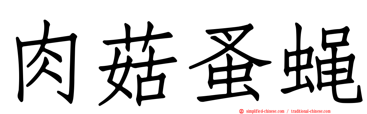 肉菇蚤蝇