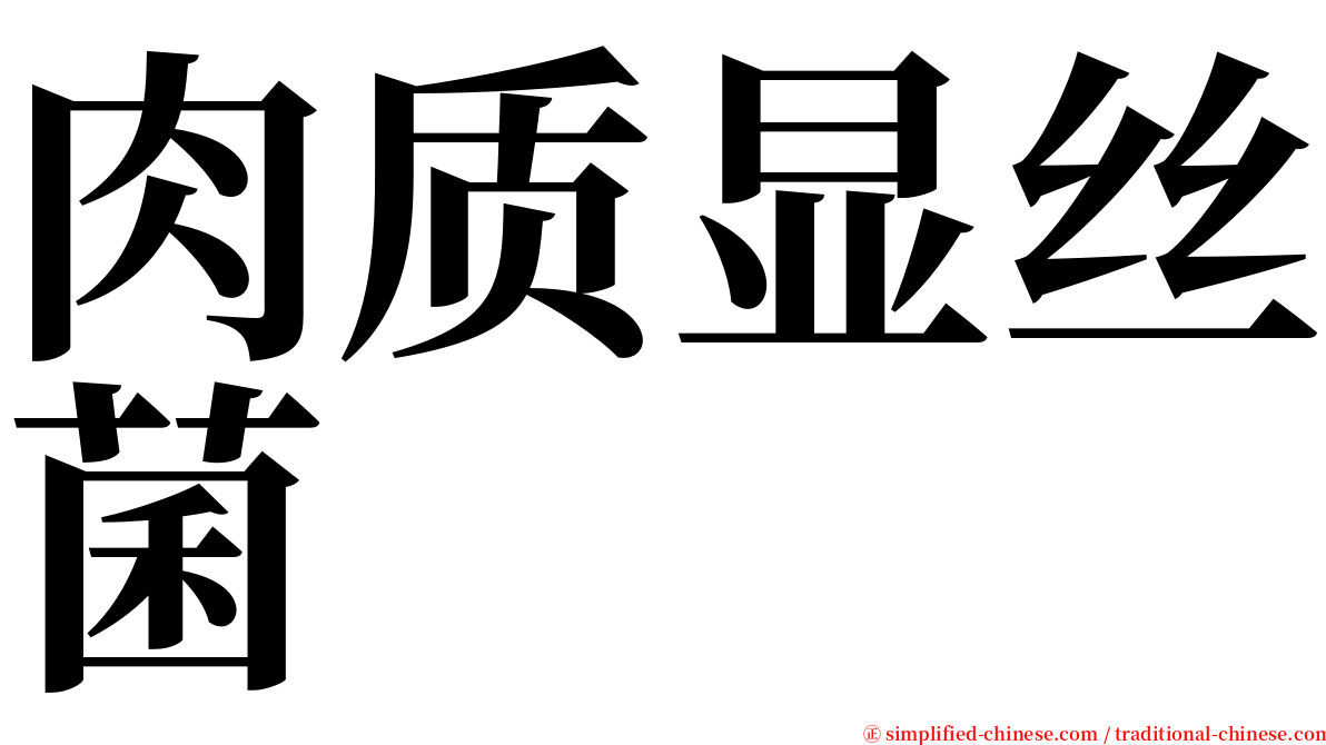 肉质显丝菌 serif font