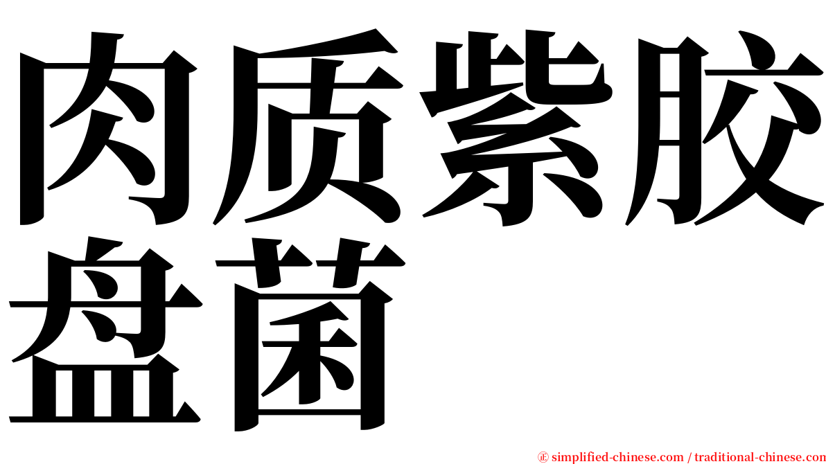 肉质紫胶盘菌 serif font