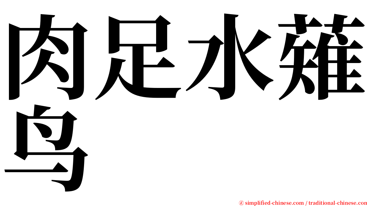 肉足水薙鸟 serif font