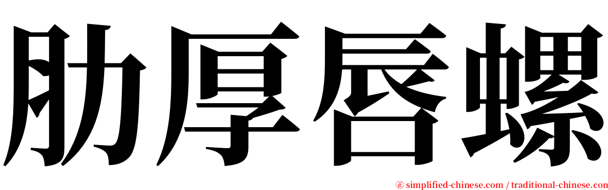 肋厚唇螺 serif font