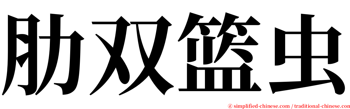 肋双篮虫 serif font