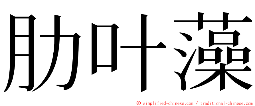 肋叶藻 ming font