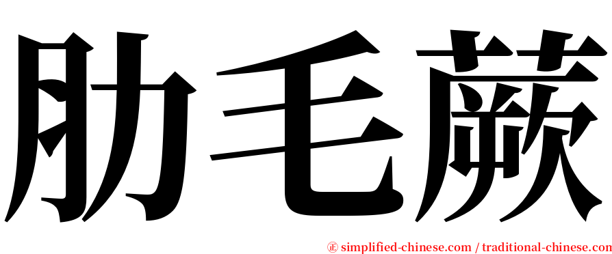 肋毛蕨 serif font