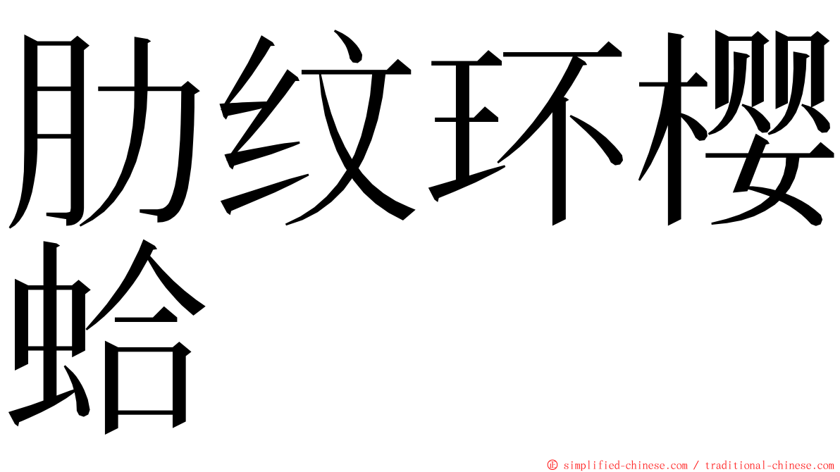 肋纹环樱蛤 ming font