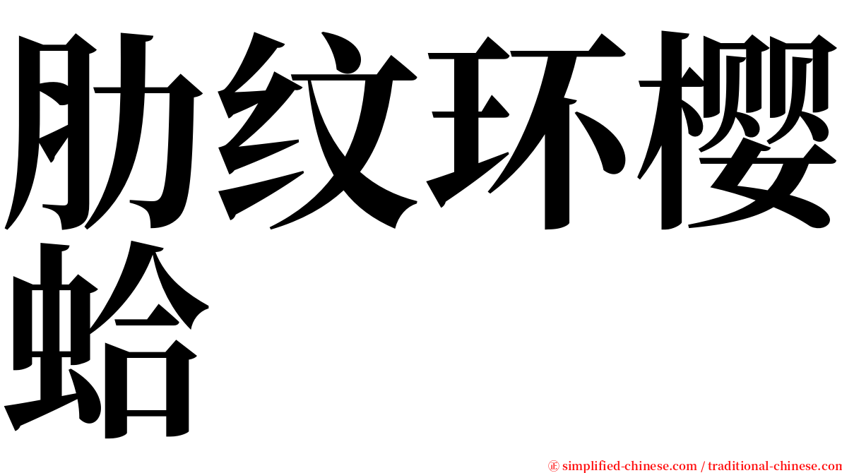 肋纹环樱蛤 serif font