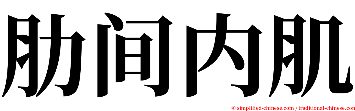 肋间内肌 serif font