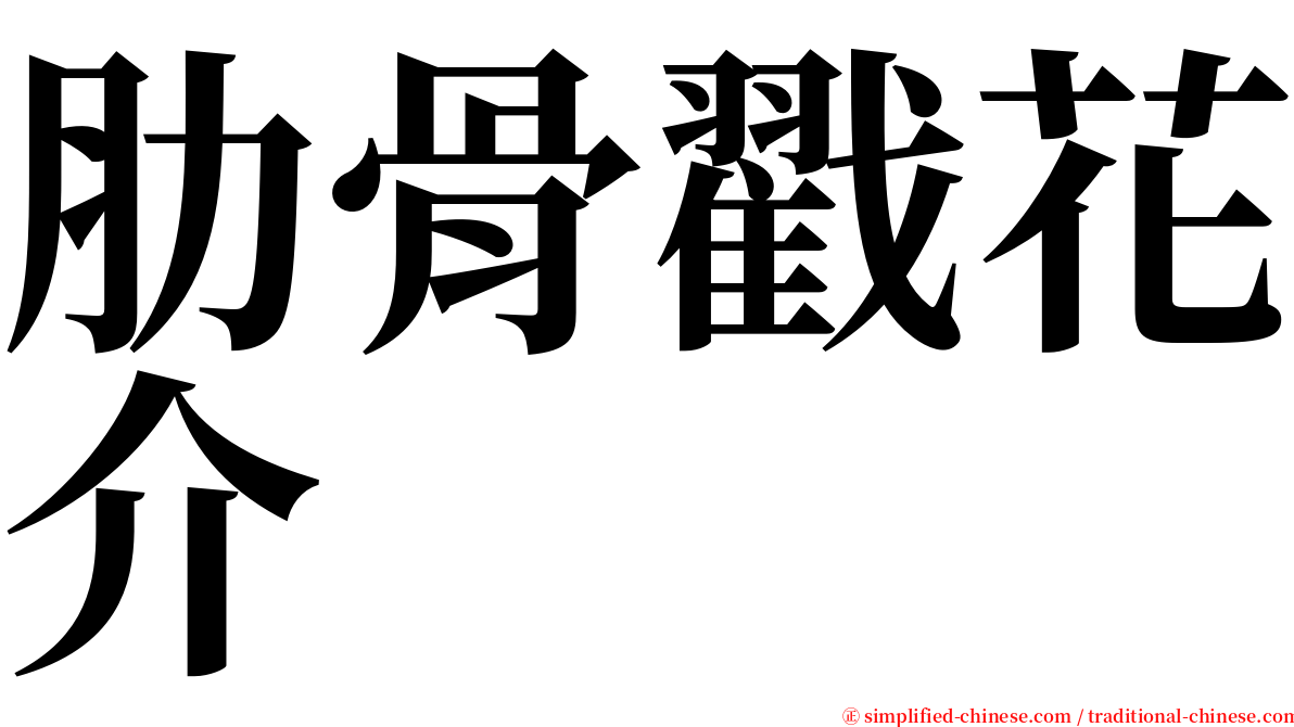 肋骨戳花介 serif font