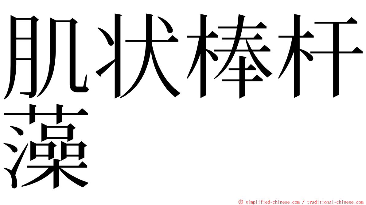 肌状棒杆藻 ming font