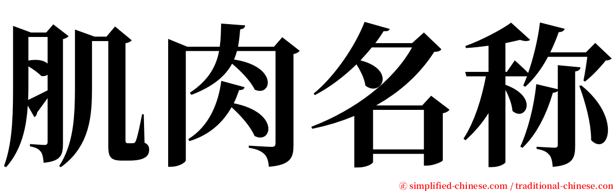 肌肉名称 serif font