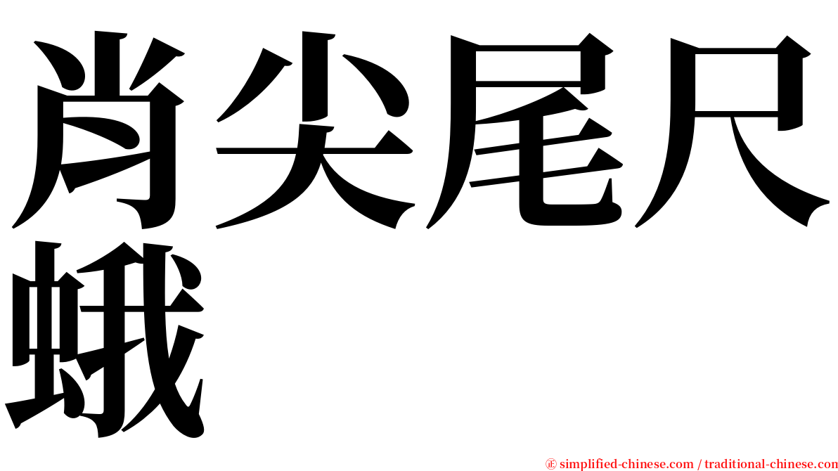 肖尖尾尺蛾 serif font