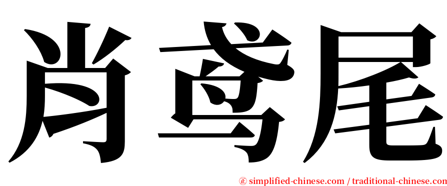 肖鸢尾 serif font