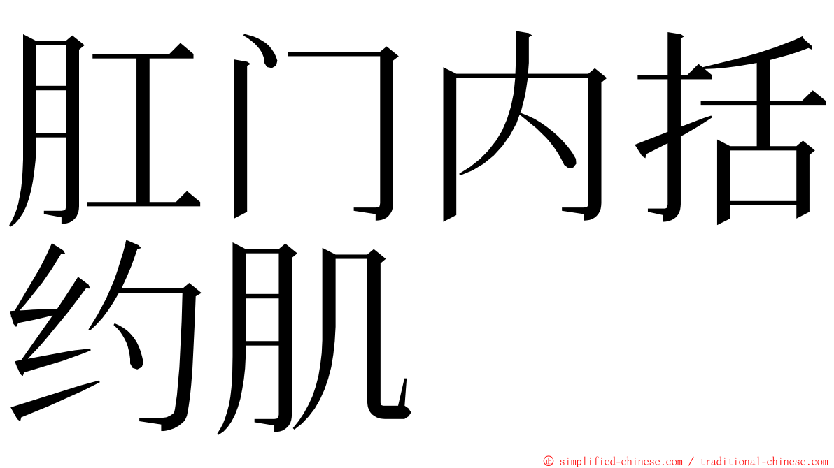 肛门内括约肌 ming font