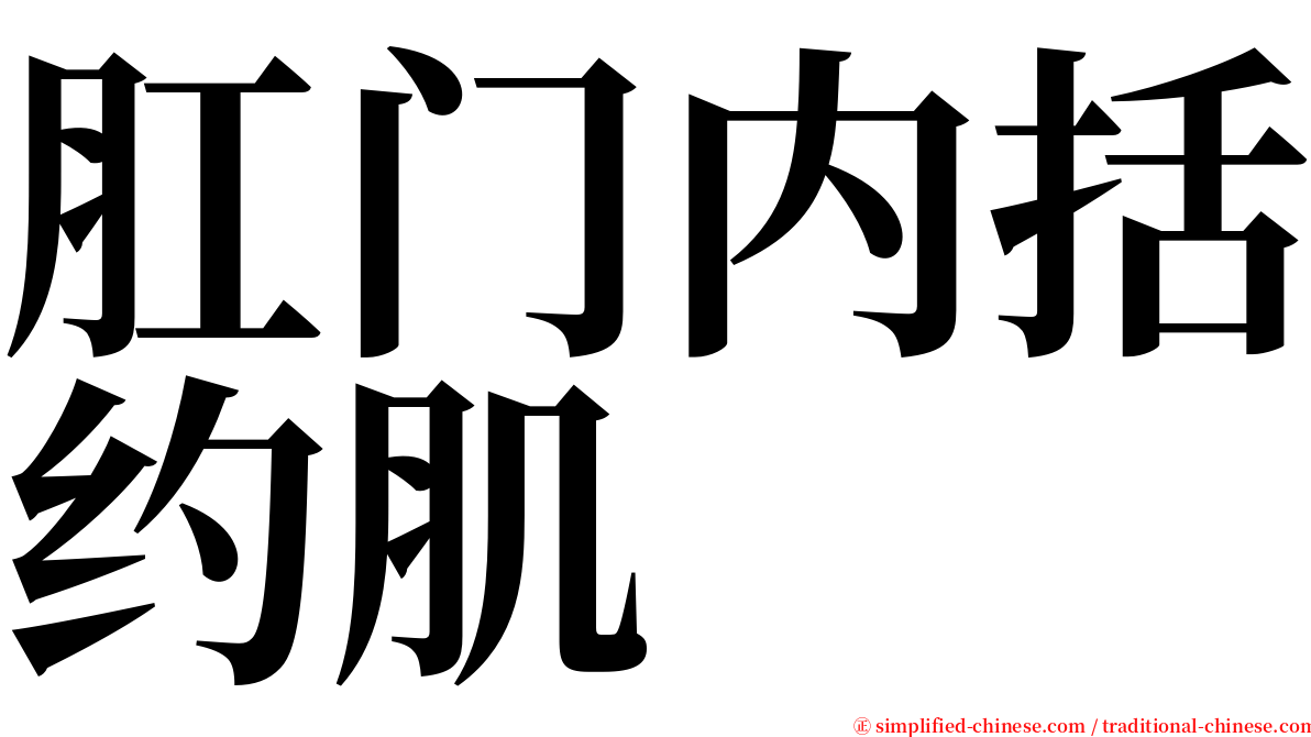 肛门内括约肌 serif font