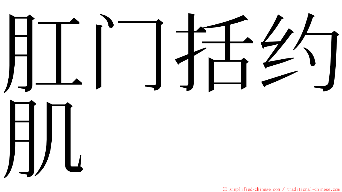 肛门括约肌 ming font