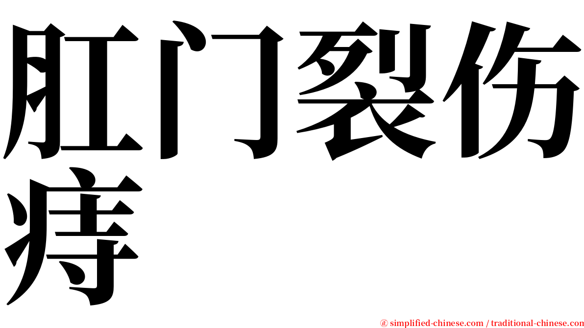 肛门裂伤痔 serif font