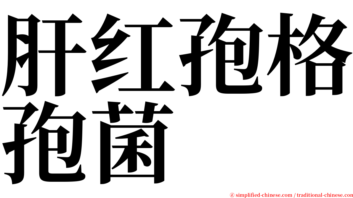 肝红孢格孢菌 serif font