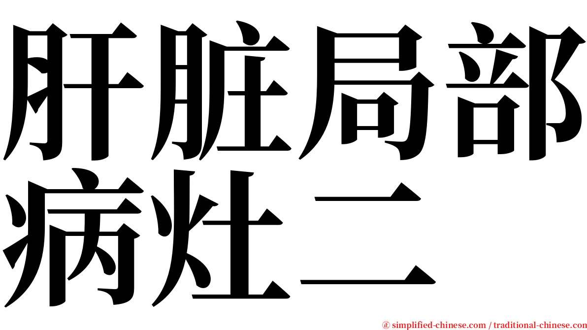 肝脏局部病灶二 serif font