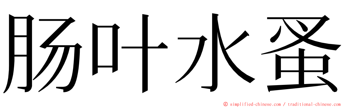 肠叶水蚤 ming font