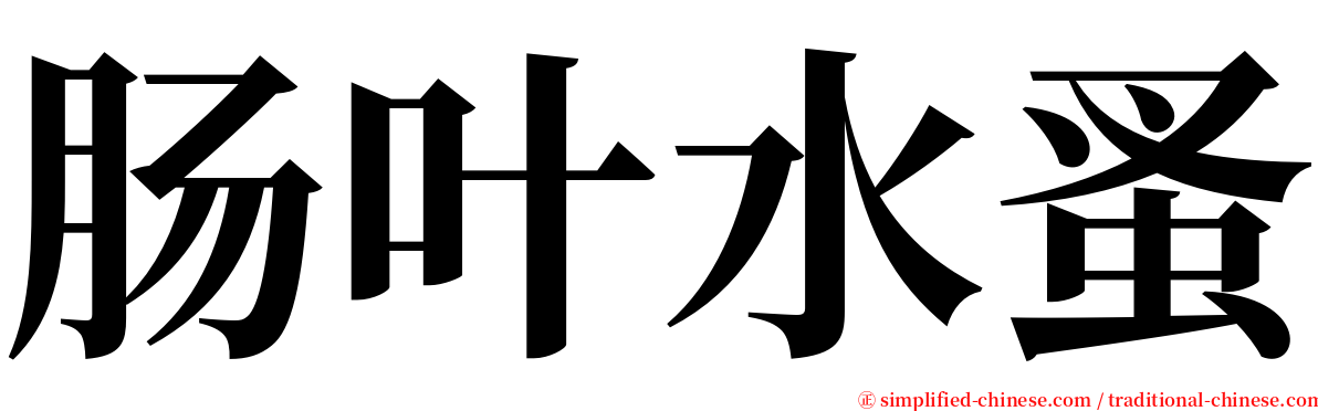 肠叶水蚤 serif font