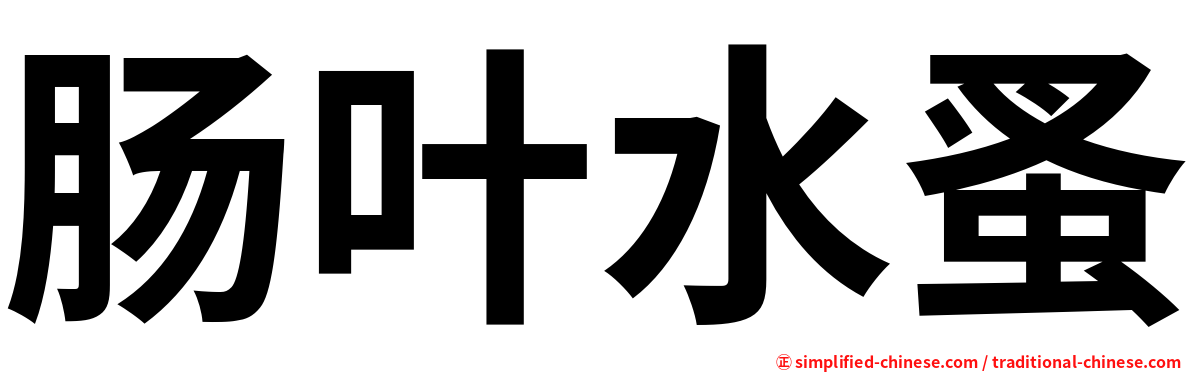 肠叶水蚤