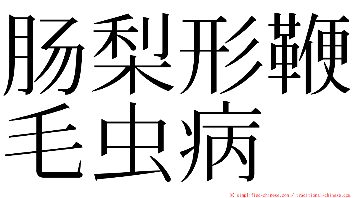 肠梨形鞭毛虫病 ming font