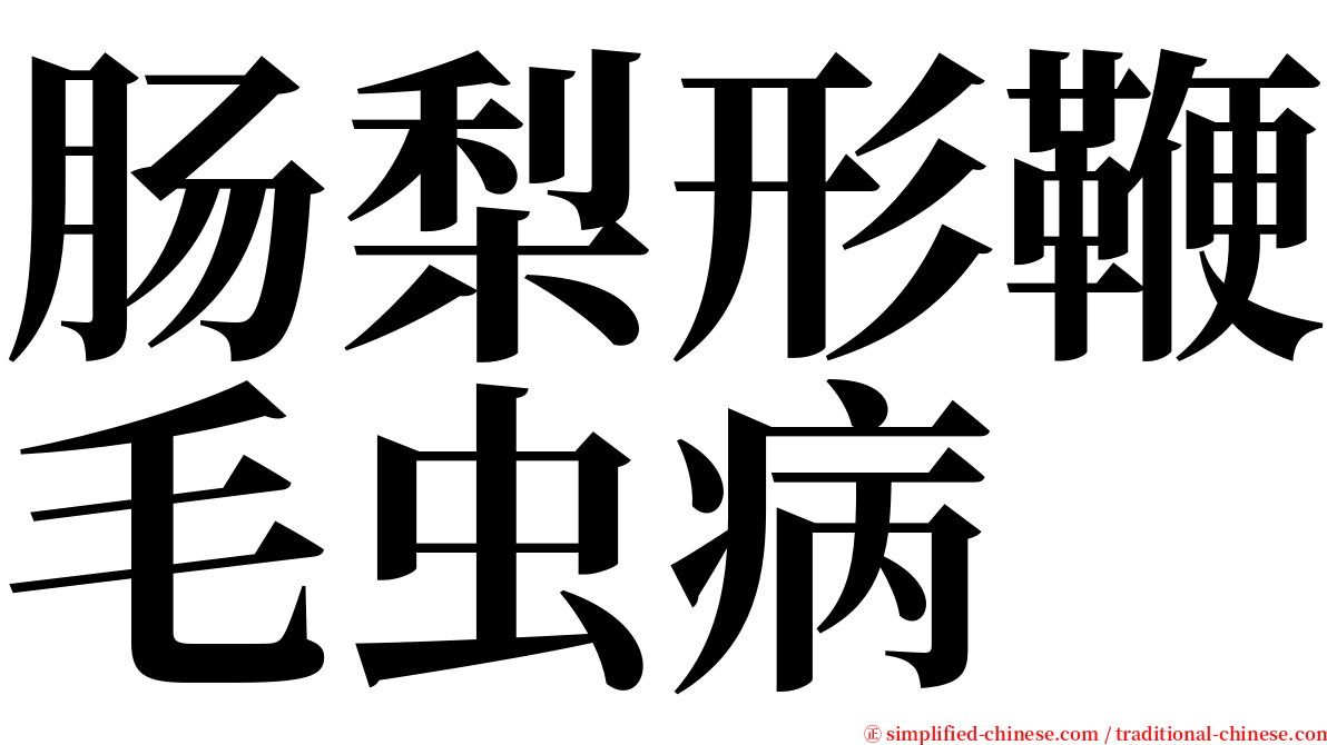 肠梨形鞭毛虫病 serif font