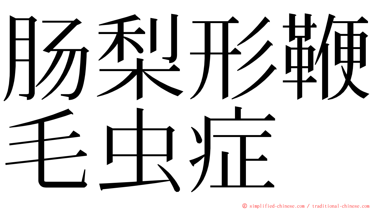 肠梨形鞭毛虫症 ming font