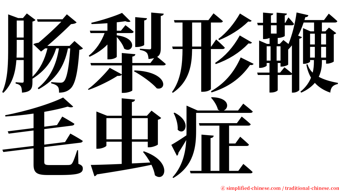 肠梨形鞭毛虫症 serif font