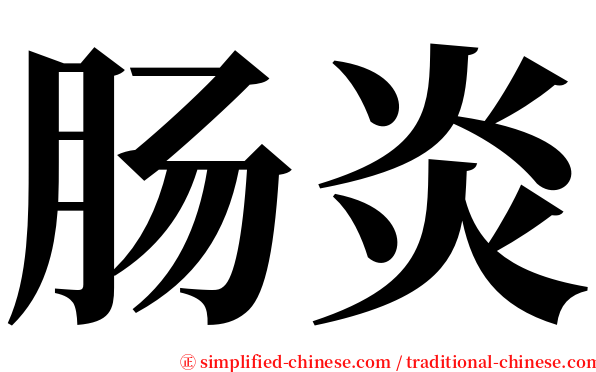 肠炎 serif font