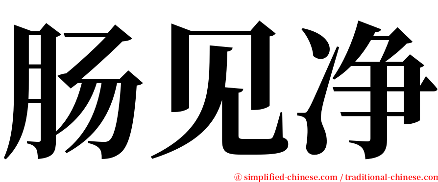 肠见净 serif font