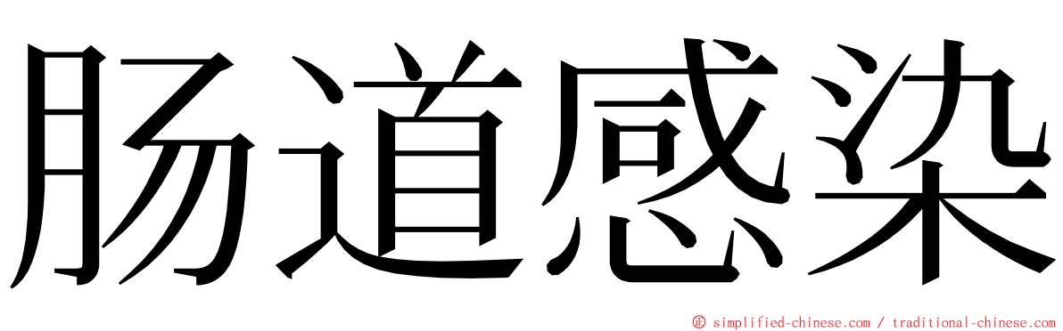 肠道感染 ming font