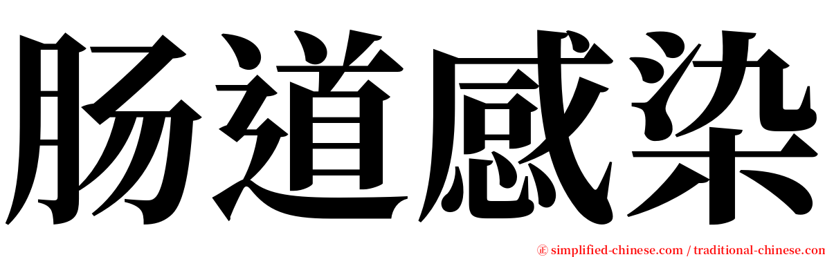 肠道感染 serif font
