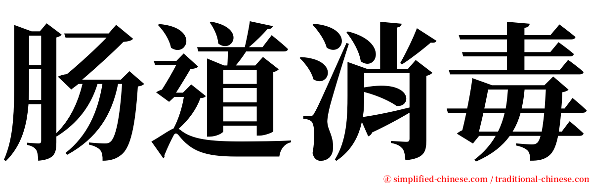 肠道消毒 serif font