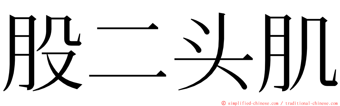 股二头肌 ming font