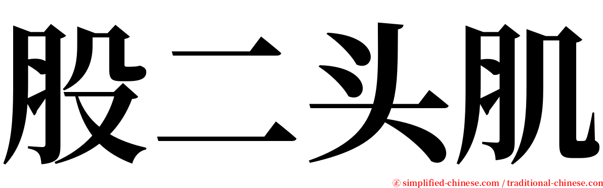 股二头肌 serif font